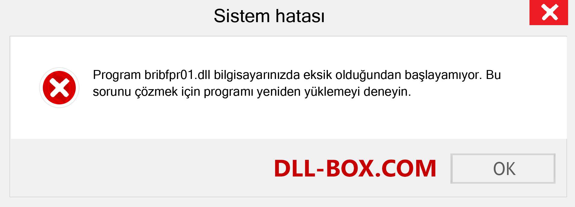 bribfpr01.dll dosyası eksik mi? Windows 7, 8, 10 için İndirin - Windows'ta bribfpr01 dll Eksik Hatasını Düzeltin, fotoğraflar, resimler